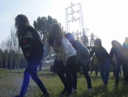 BRIÑAS DBH 1A-B